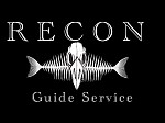 Recon Guide service
